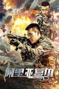 �����Ǹ���