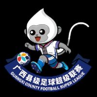 广西县级足球超级联赛 南宁市宾阳县1-2北海市海城区队20260208