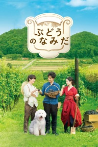 ���ѵ�����