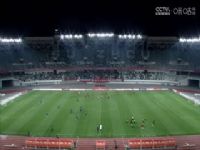 �м����� ���ݶ���VS�������� 20250316