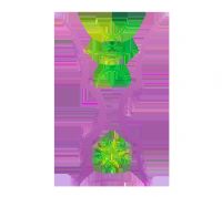 �������ޱ� �й�vsɳ�ذ�����20250805