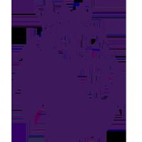 Ӣ�� ������vs����20250831