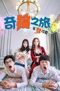 �滻֮�����γ���