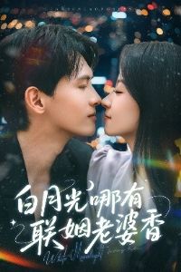 ���¹���������������