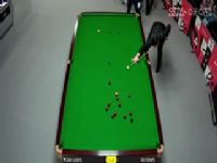 2024˹ŵ˵¹ʦ տ5-3ϡյ 20240130