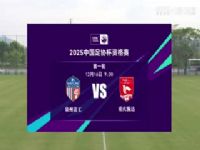 Эʸ Ȫ๤߷֯VS嫴 20241216