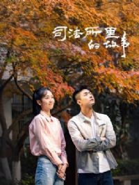 ˾������Ĺ���