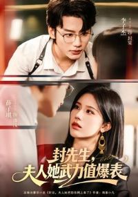 封先生,夫人她武力值爆表