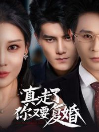 ����������Ҫ����