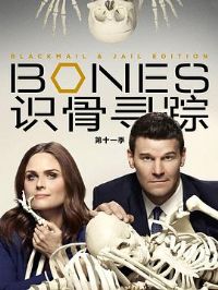 ʶ��Ѱ�ٵ�ʮһ��