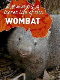 ���ܵ���������